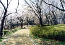 ファインソフトの詳細