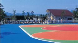 アストップII型