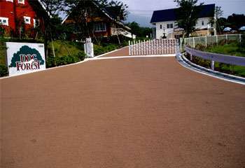 アーバンカラーの詳細