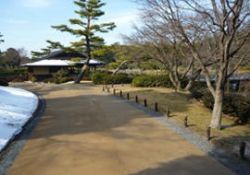 透塊ソイルの詳細