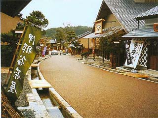 パーフェクトカラーNPの詳細
