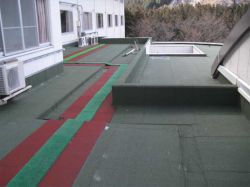 パラフォル・ソロXJ-48SMEの詳細