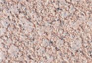 グッセラ・Gキャストの詳細