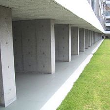 ニートカラーUの詳細