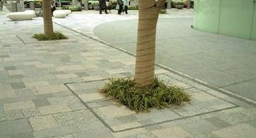 ツリーキーパー舗装材充填タイプの詳細