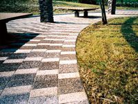 プロエッジの詳細