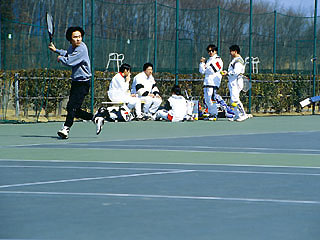 パーフェクトCコートの詳細