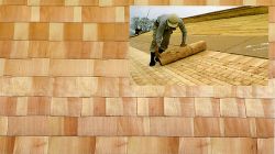 コロシート S30の詳細