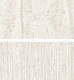 クロスタイガーボードの詳細