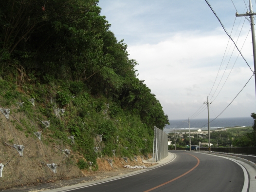 法面資材 ノンフレーム工法