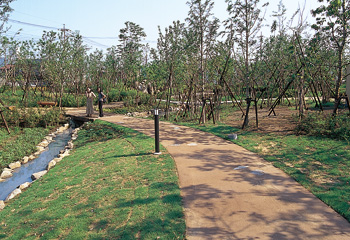 アーバンライト