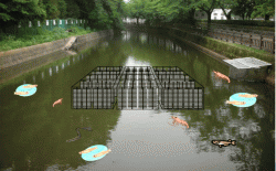 フレーム式水質浄化装置の詳細