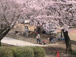 ヘルシークレーの詳細