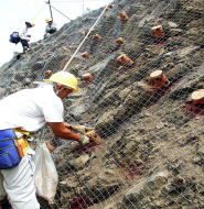 保育ブロックの詳細