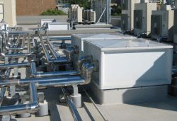 ハトコットの詳細