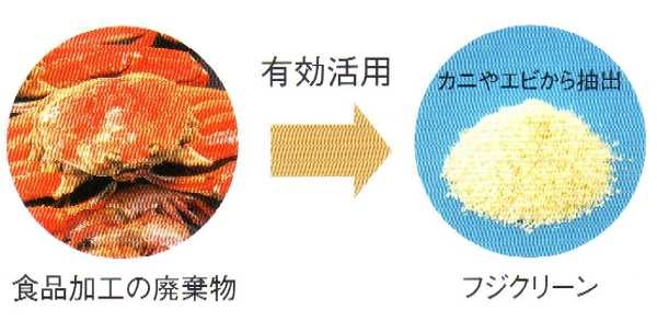 フジクリーンの詳細