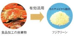 フジクリーンの詳細