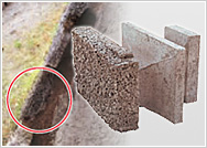 アニーヴンビオポーラススプリットンの詳細