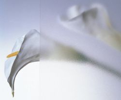 ポリカーボネート平板 カーボグラスの詳細