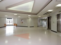 複層ビニル床シート(FS)〈JIS A 5705〉 ロンリウムマーブルCTの詳細