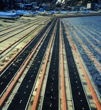 転倒防止用マット(港用) セーフマットの詳細