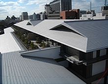 元旦スプリングルーフ850の詳細