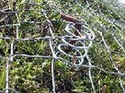 シカット緑化工法の詳細