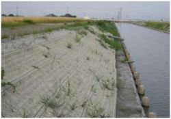 法面マットフィルターの詳細