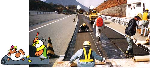 PMシート TMの詳細