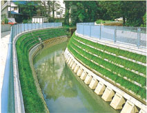 銀鱗 II型A型の詳細