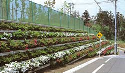 グリーンウォール 80型A