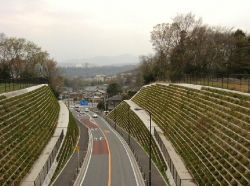 緑生ブロック II型の詳細