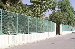 引取限定‼️ビカクシダ6種類+エキスパンドフェンス2つ 引取限定‼️ビカクシダ6種類+エキスパンドフェンス2つ 引取限定