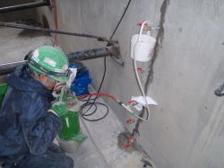 ハイスタッフの詳細