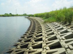 トリオン 標準型