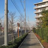 コンクリートポール 一般柱