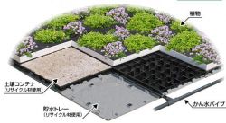 スクエアプランツの詳細