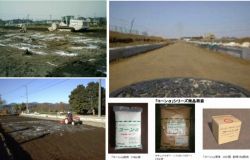 コーンα 地盤改良工法(路床改良)