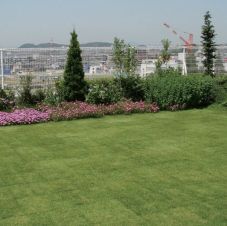 スーパーグリーン(MGEメグ)の詳細