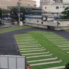 スーパーグリーン(PGEパグ)の詳細