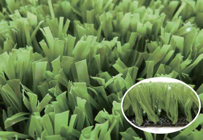 バイオターフDS-60MBの詳細