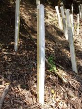 ウッドガードの詳細