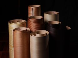 サンフットフネンの詳細