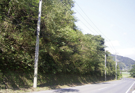 バイオ・オーガニック工法の詳細