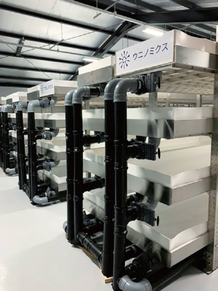 省合金二相ステンレス鋼SUS329J1(NSSC2351)の詳細