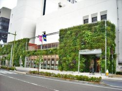 パラビエンタの詳細