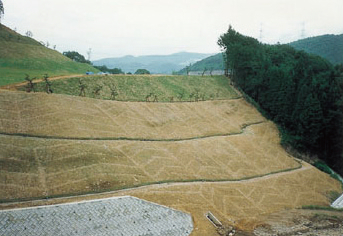水抜き土留柵工の詳細