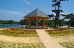 防草マサスペシャルハードの詳細