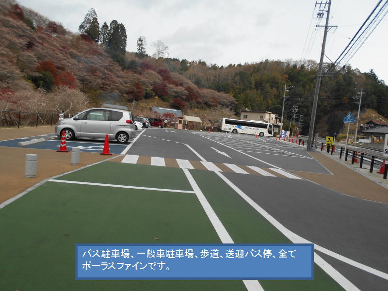 ポーラス・ファインの詳細