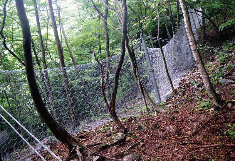 MJネットの詳細